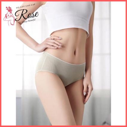 Combo 5 Quần Lót Nữ Cotton Kháng Khuẩn Quần Chíp Cạp Vừa CO GIÃN BỐN CHIỀU Rose QR03