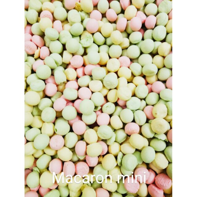 bánh Macaron mini dành cho thú nuôi ( chó mèo thỏ bọ hamster sóc,...)