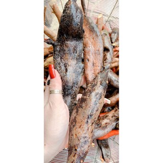 Củ tắc kè đá(1kg)