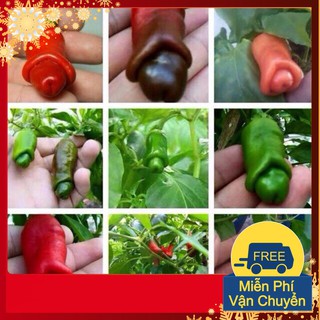 Hạt Giống Ớt Peter