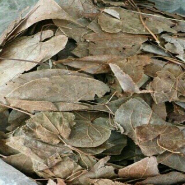 Sỉ giá gốc siêu rẻ lá dâm dương hoắc 500g - 1kg