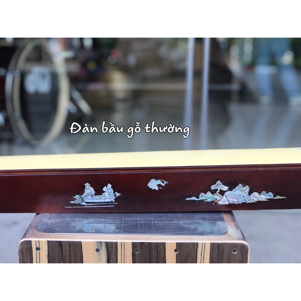 Đàn bầu học sinh giá rẻ-tặng bao và que gãy
