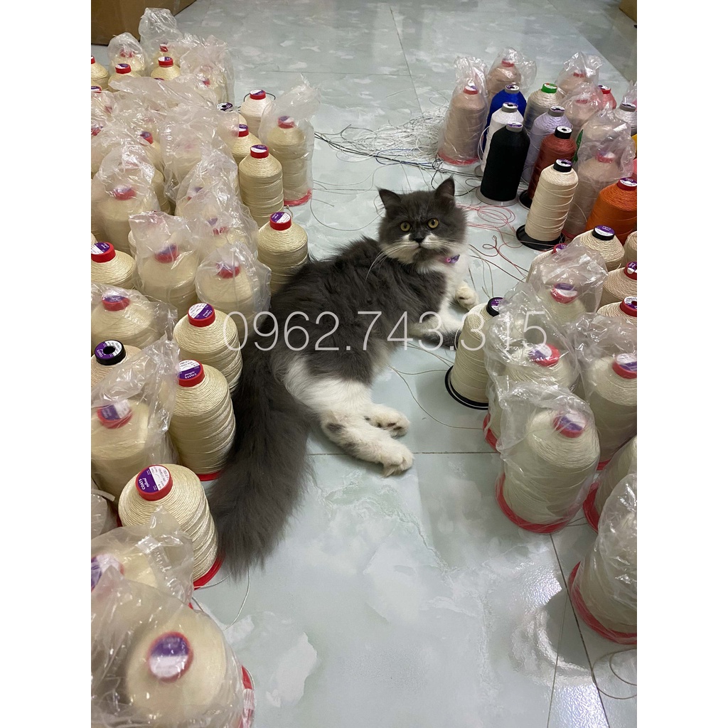Chỉ khâu giày dép siêu bền (tặng kim khâu)