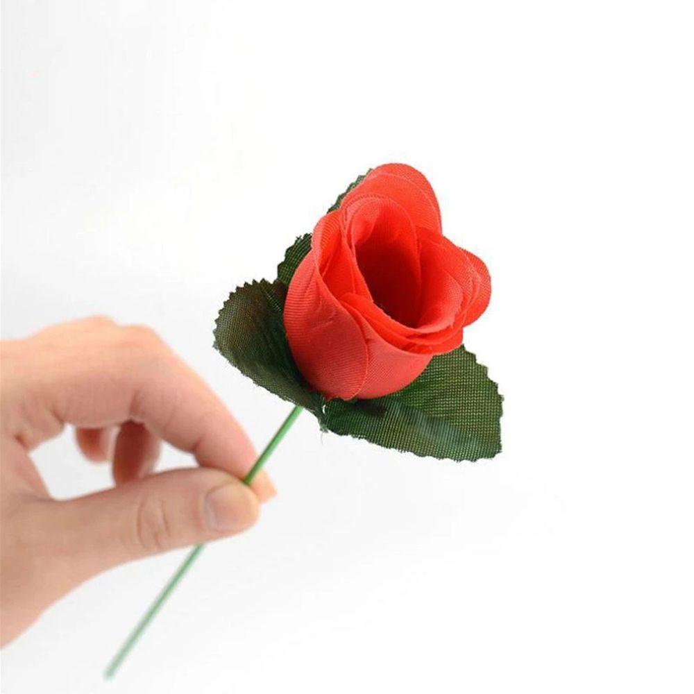 Hoa Hồng Ma Thuật Dùng Làm Ảo Thuật Độc Đáo
