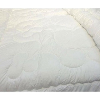 Ruột chăn đông Hanvico TCM 200*220