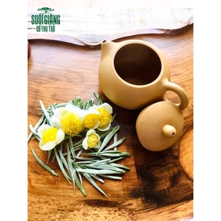 Bạch trà shan tuyết cổ thụ suối giàng