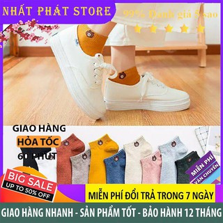 Tất gấu ❣️ FREESHIP ❣️ Tất gấu nữ giá sỉ, Tất gấu xinh dể thương siêu hot, co giản thoáng khí