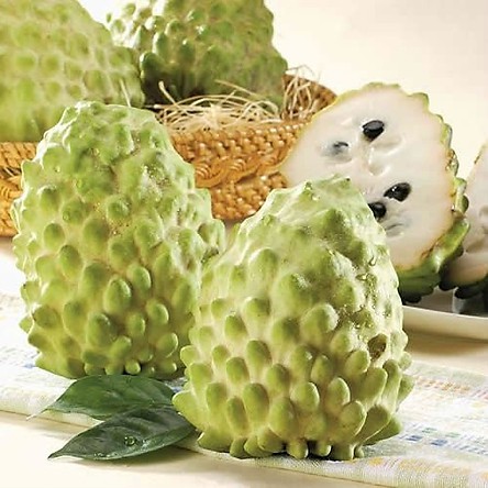 HẠT GIỐNG NA THÁI  - 5 hạt/ gói