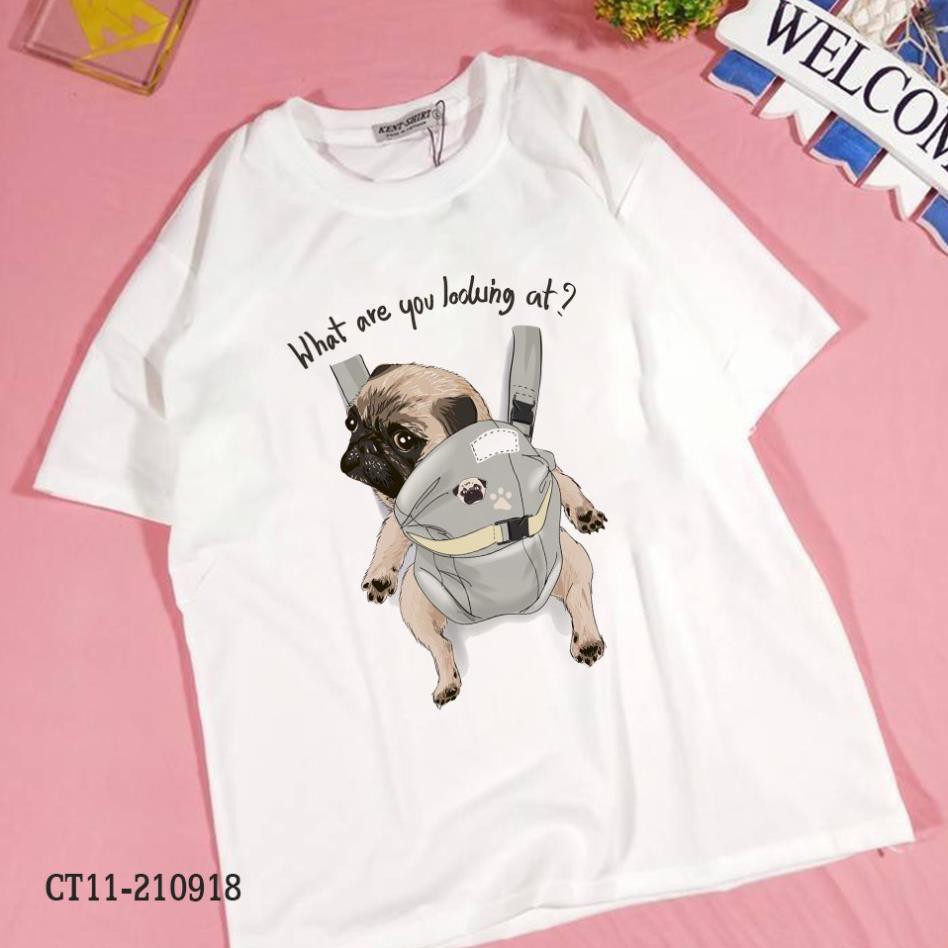 SALE- ÁO THUN NAM NỮ IN HÌNH CHÓ MẶT XỆ PUG DOG TRONG TÚI ĐỊU DỄ THƯƠNG CRAZYTEE - áo HOT