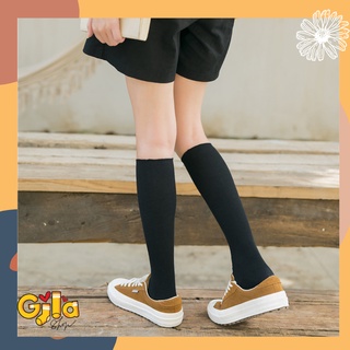 Tất vớ dài đến đầu gối dành cho nữ