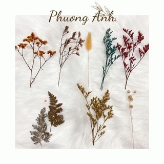 Set hoa khô handmade trang trí thiệp, resin giá tốt