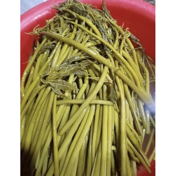 Rau móp muối chua, 1kg rau không tính nước