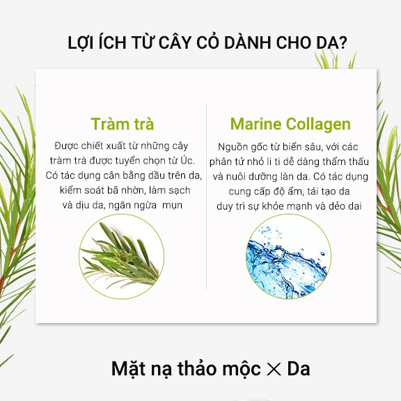 [Mã BMBAU50 giảm 7% đơn 99K] Hộp 8 miếng mặt nạ Neogence N3 tinh chất tràm trà thanh lọc da