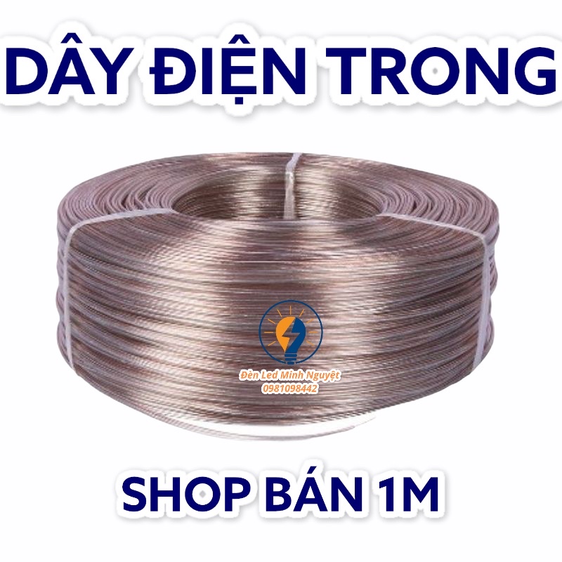 DÂY ĐIỆN TRONG SUỐT DÙNG CHO ĐÈN LED NEON ( SHOP BÁN LẺ 1M )