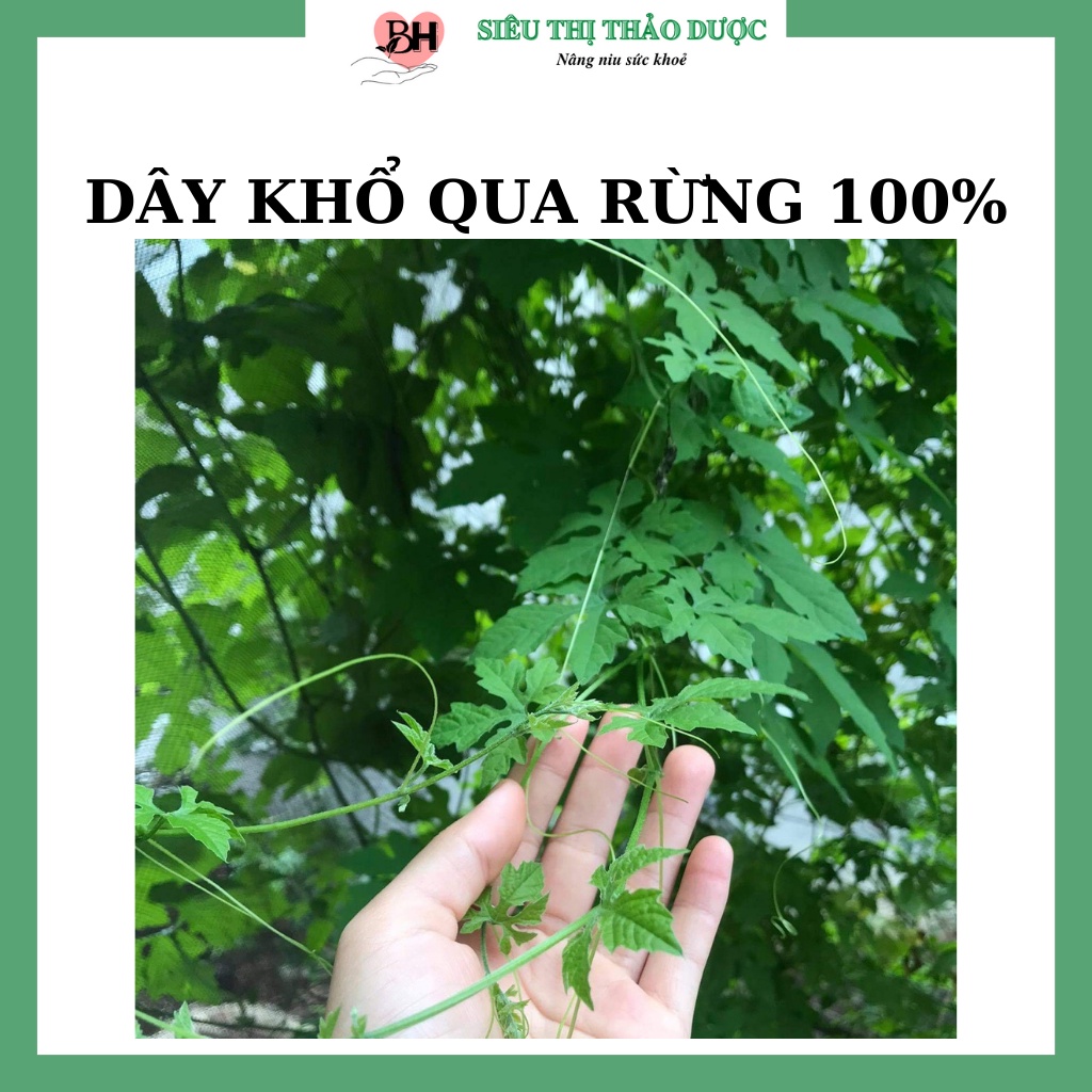 Dây Khổ Qua ( Mướp Đắng ) Rừng Hàng Mới Chất Lượng Hỗ Trợ Tiểu Đường, Gout Túi 1Kg | BigBuy360 - bigbuy360.vn