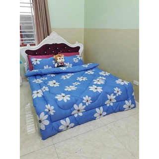 (giá rẻ vô địch) set chăn phao, ga, gối poly