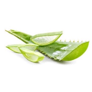 Gel nha đam nguyên chất 100% - chai 390ml
