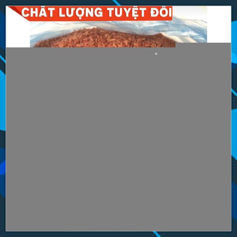 Gạo lứt huyết rồng 1 kg hàng chuẩn hỗ trợ thải độc, giảm cân, ăn kiêng