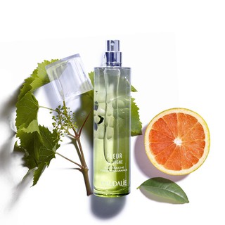 Nước hoa Caudalie Fleur de Vigne - hàng tester (Pháp)