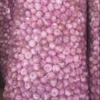 Sỉ toàn quốc tỏi cô đơn 2kg