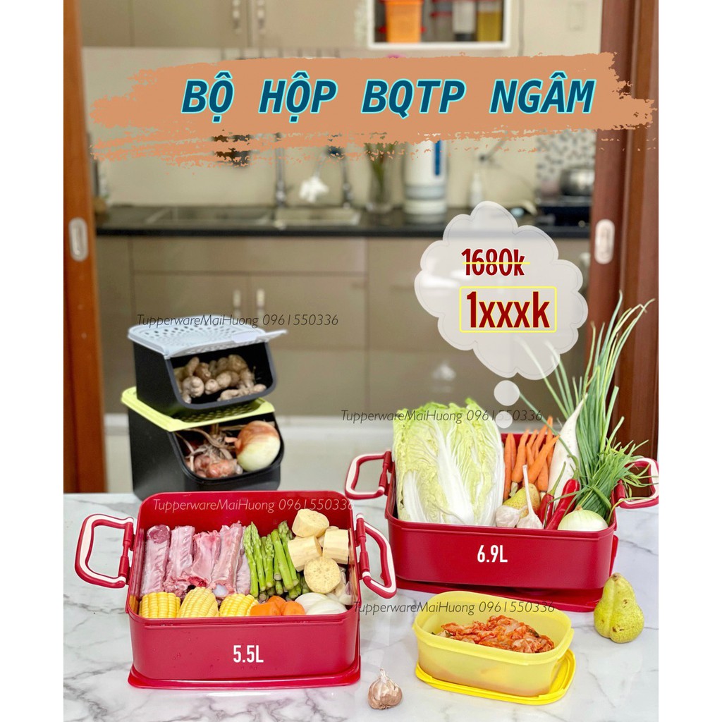 <Tupperware>Bộ Hộp đa năng Ngâm và bảo quản thực phẩm Kipper