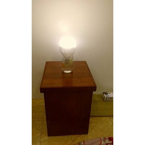 BÓNG ĐÈN TÍCH ĐIỆN 15W VÀ TIẾT KIỆM ĐIỆN (GIÁ RẺ CỰC CỰC ĐỈNH)