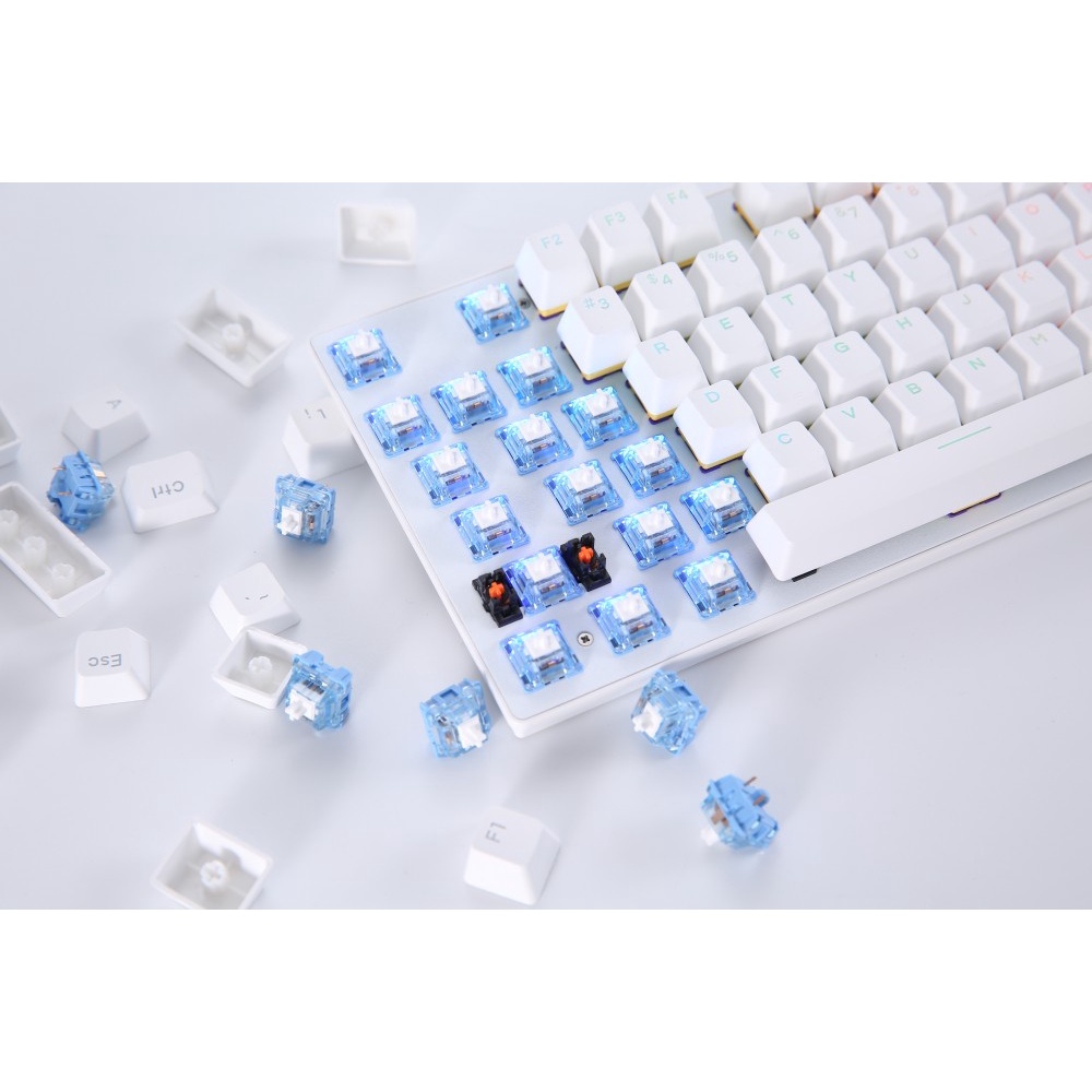 Bộ switch cho bàn phím cơ hotswap DAREU BLUE SKY V2