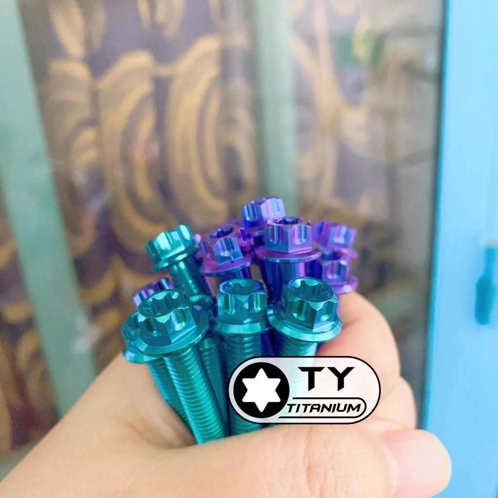 Ốc Titan Gr5 Lốc Máy đầu Salaya G1 các loại xe