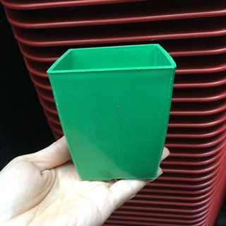 Chậu cây mini ( 1 chậu)