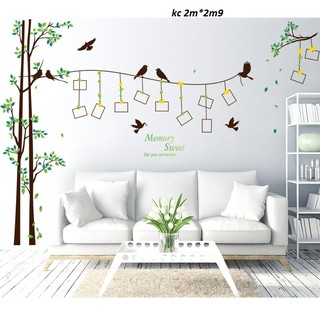 decal dán tường cây khung ảnh