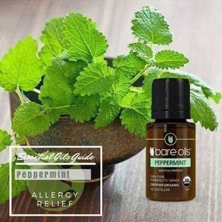 TINH DẦU HỮU CƠ (BẠC HÀ - PEPERMINT)