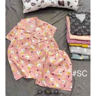 Bộ Pijama Ngắn Tay Dáng Rộng Cute- Set Pizama đùi kate freesize<60kg Uzzlang
