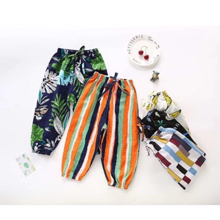 Quần boom cotton chống muỗi