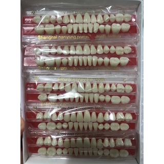 Răng sứ tháo lắp ( bộ 28 răng )
