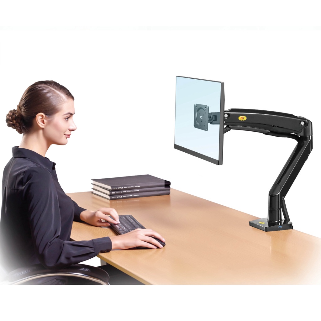 Giá Treo Màn Hình Máy Tính F100A Nhập Khẩu North Bayou Lắp Cho Màn Hình 22" - 35"