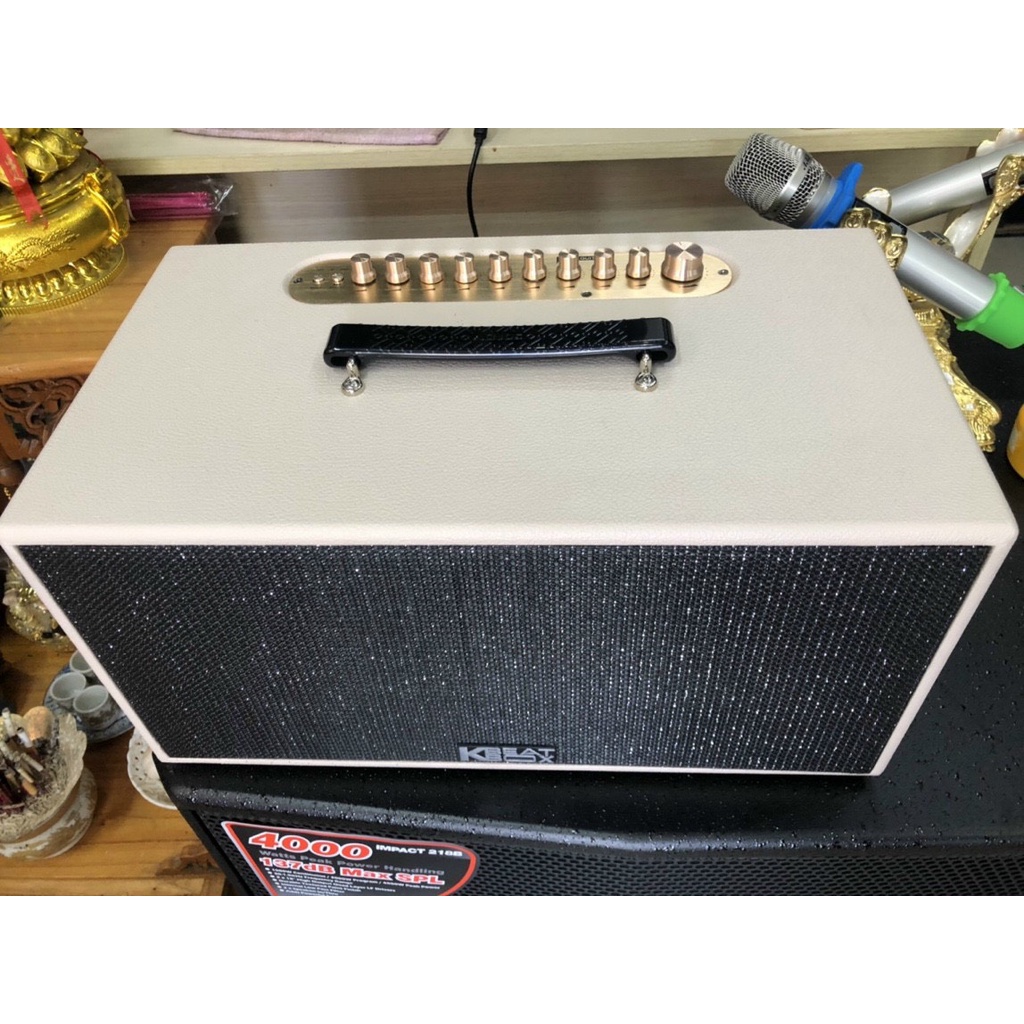 Loa Karaoke di động ACNOS CS447, Bass 16.5Cm, 100W, Pin 4 - 7H, Mới 2022