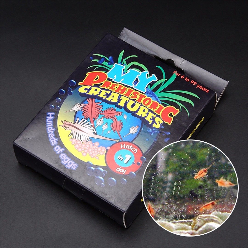 Live Sea Monkeys Ocean Zoo Marine Monkey Tank Aquarium Habitat Toy Pet fits kid