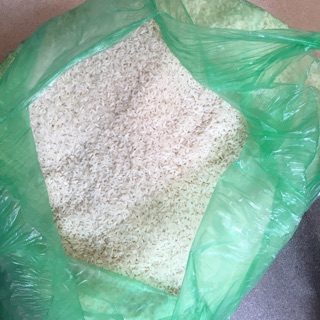 Gạo hải hậu