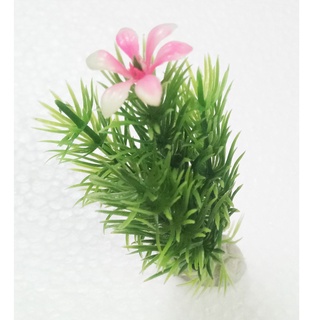 Cây Trang Trí Bể Cá Size Mini (Khoảng 12cm x 5cm Mỗi Cây) - Đồ Trang Trí Hồ Cá