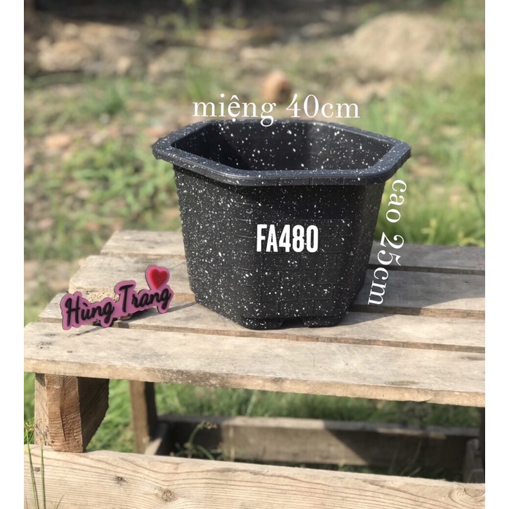 Combo 5 FA480 đen trồng cây