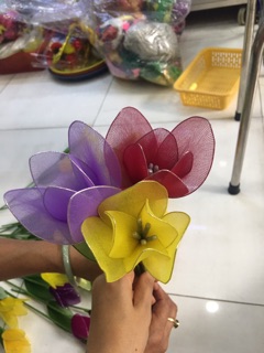 Hoa  tulip vải voan