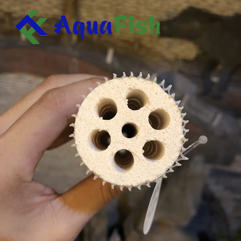 Sứ Củ Sen Mountain Tree kích thước 16*4.2cm (Sứ lọc, vật liệu lọc cao cấp cho bể cá cảnh, hồ cá koi, hồ cá rồng)