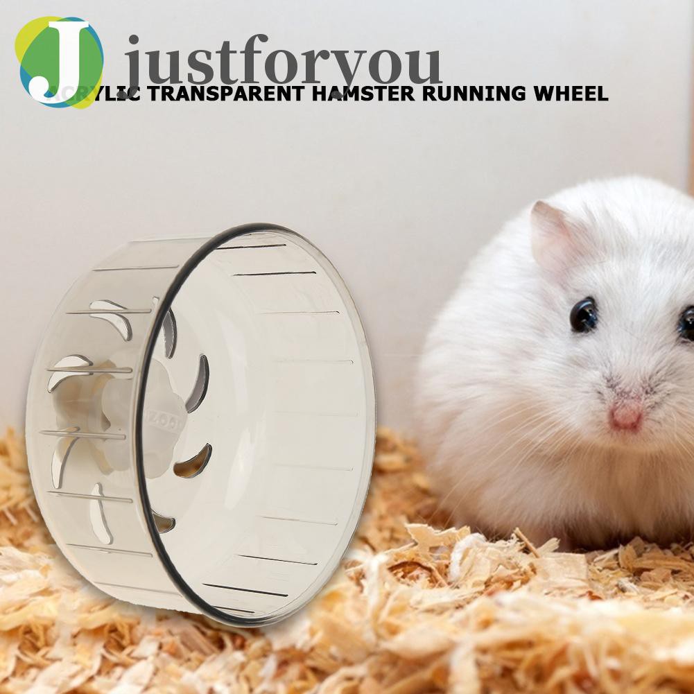 Bánh Xe Trong Suốt Cho Chuột Hamster