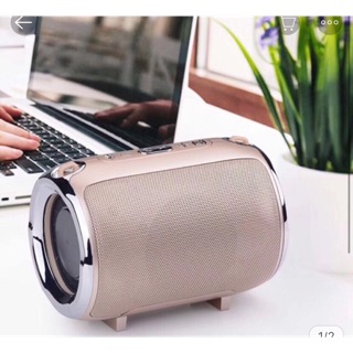 Loa bluetooth kèm mic hát