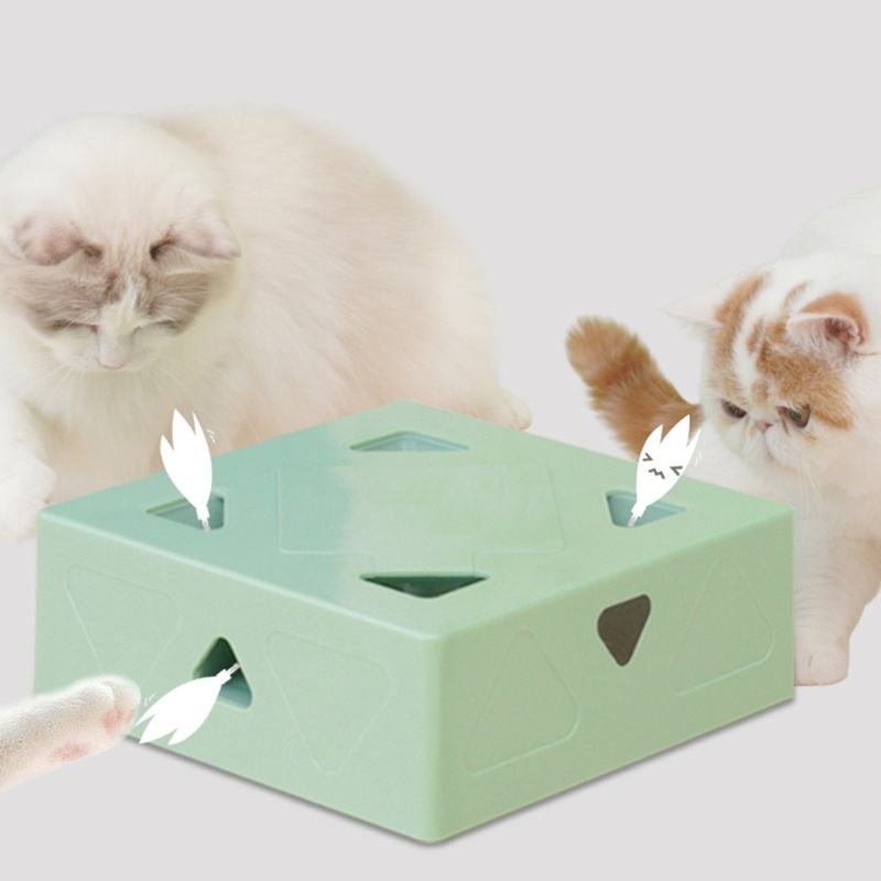 Đồ Chơi Lông Vũ MềM MạI Cho MèO