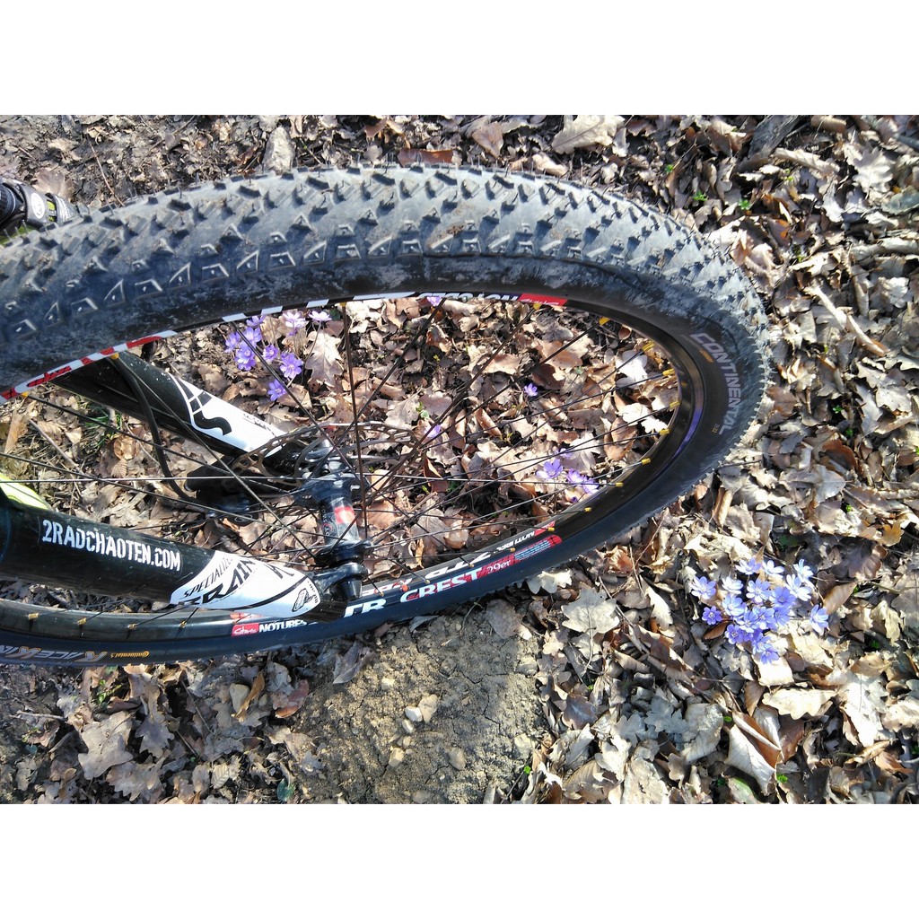 Vỏ Xe Đạp MTB Continental Race King 26 / 27.5 /29 Inch 2.0 / 2.2
