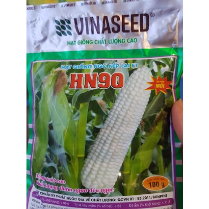 Hạt giống ngô nếp lai F1