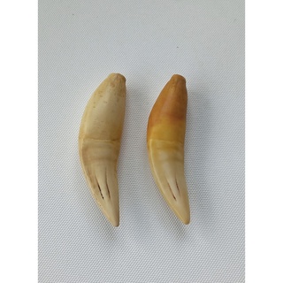 nanh báo nhân tạo