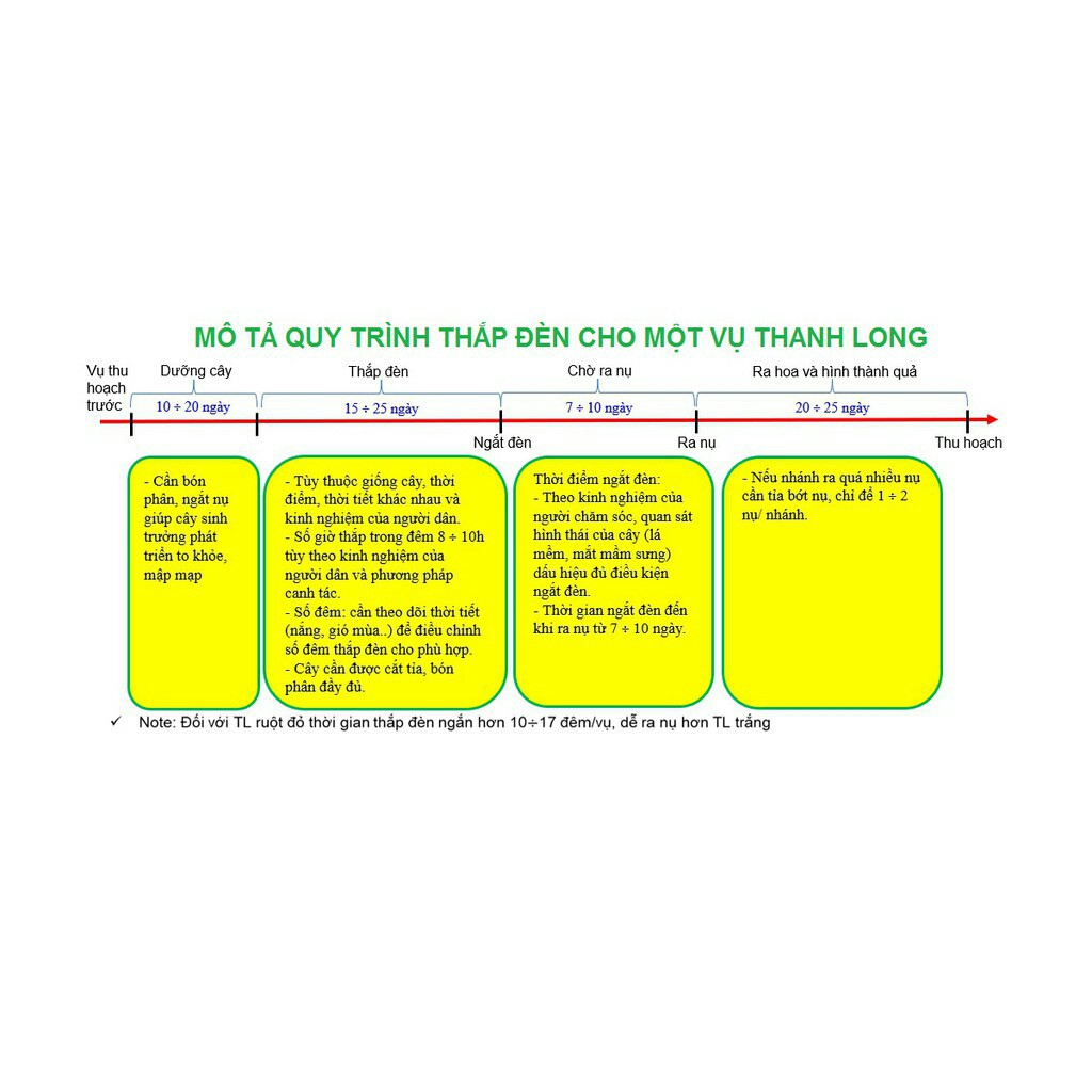 Bóng đèn xông thanh long 9w Rạng đông