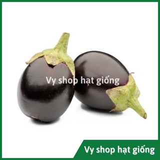 Hạt giống cà tím giọt nước Thái Lan gói 100 hạt